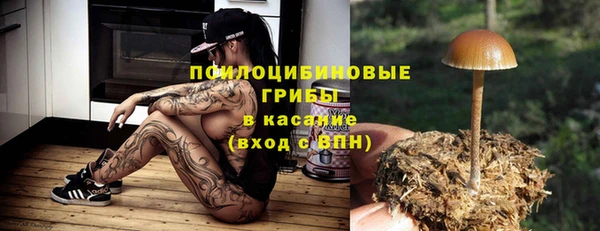 тгк Майский